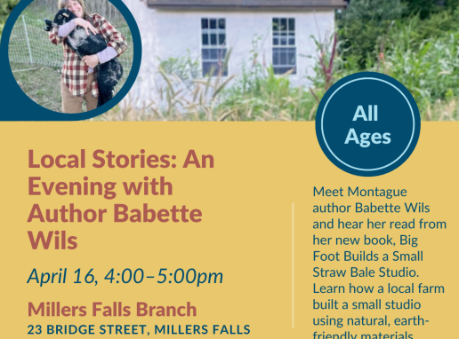 Local Stories: An Evening with Babette Wils Graphic